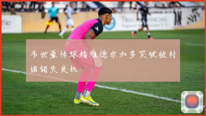 韦世豪传球精准德尔加多突破被封堵错失良机
