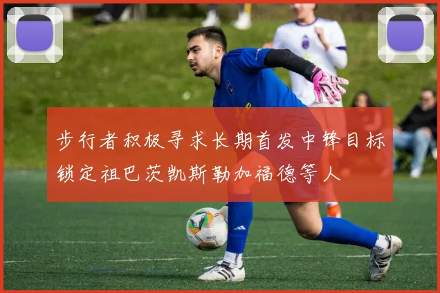 步行者积极寻求长期首发中锋目标锁定祖巴茨凯斯勒加福德等人