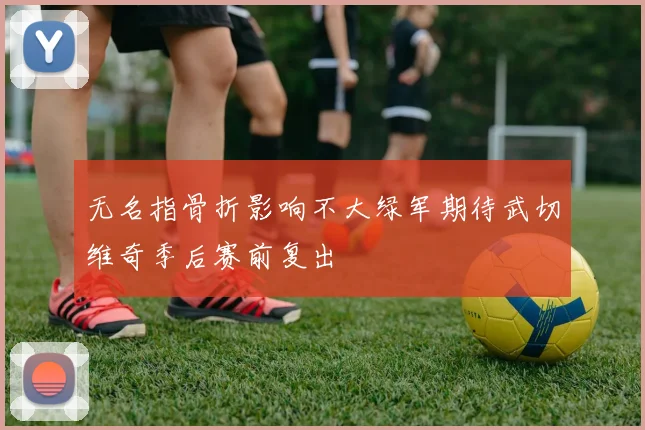 无名指骨折影响不大绿军期待武切维奇季后赛前复出